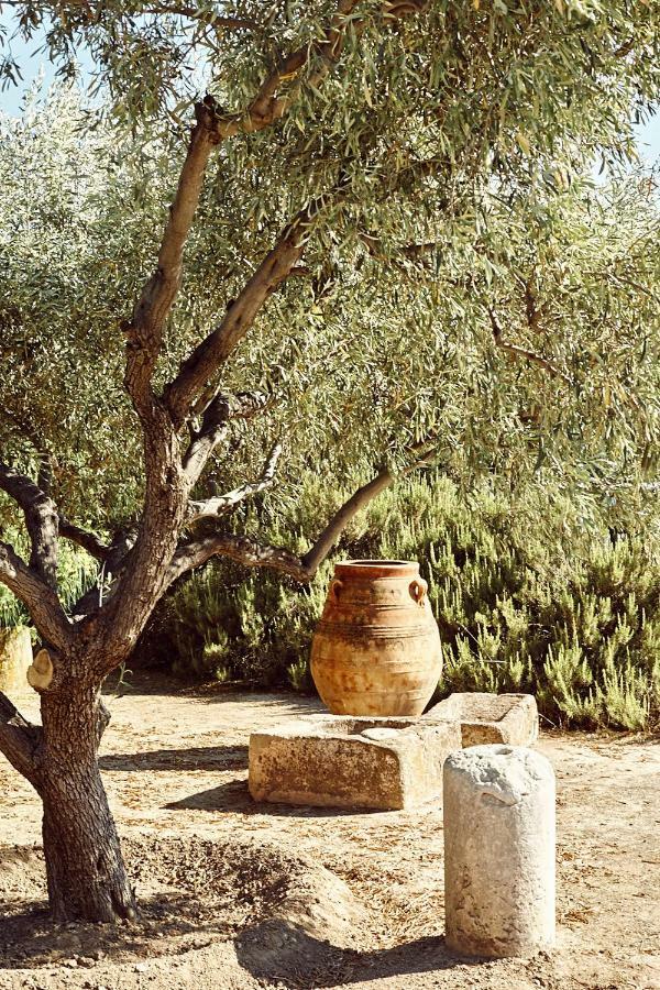 Nikolaou Art Residence Aegina 외부 사진