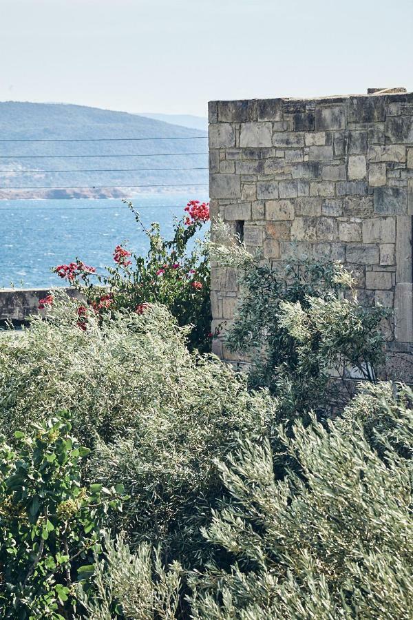 Nikolaou Art Residence Aegina 외부 사진
