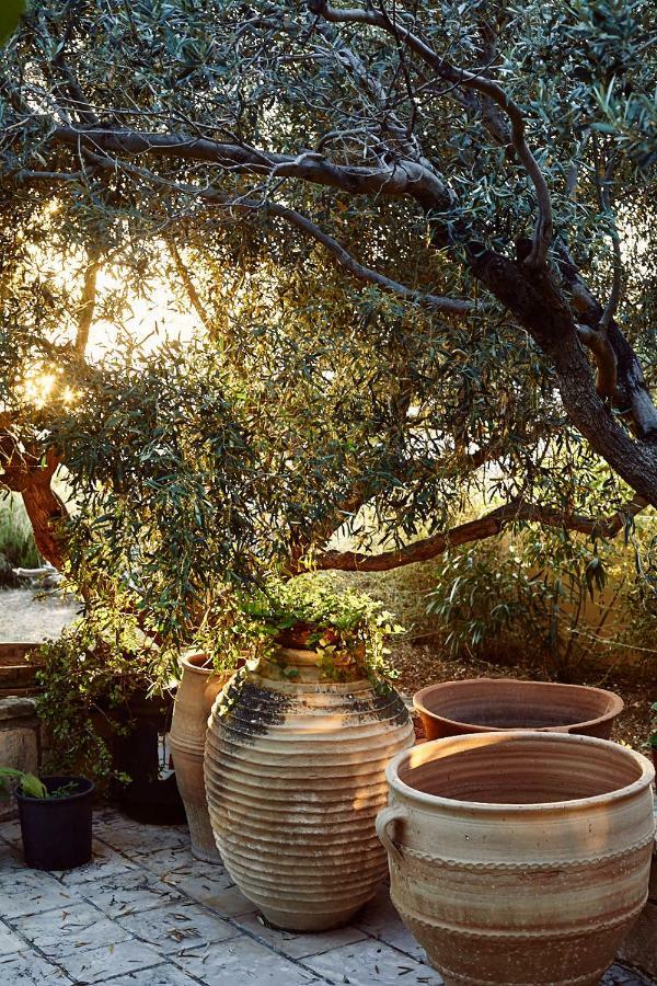 Nikolaou Art Residence Aegina 외부 사진