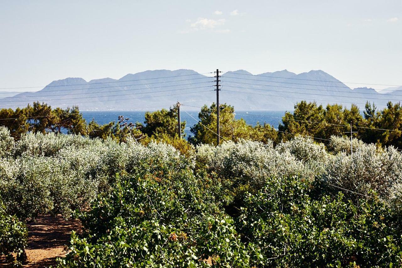 Nikolaou Art Residence Aegina 외부 사진